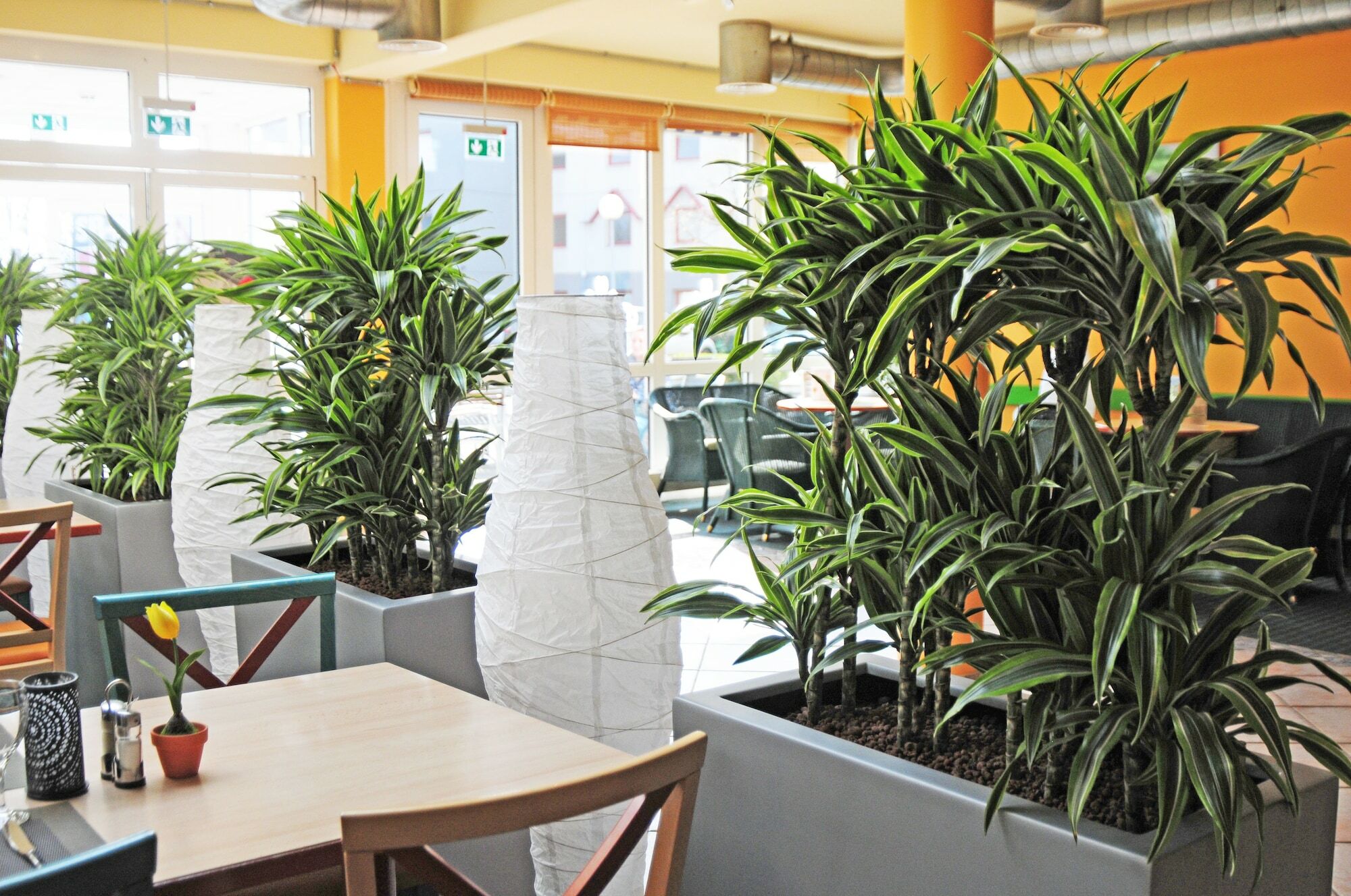 Ibis Koeln Frechen Hotel Екстериор снимка